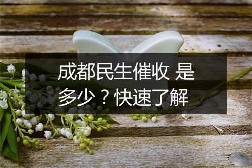 成都民生催收 是多少？快速了解
