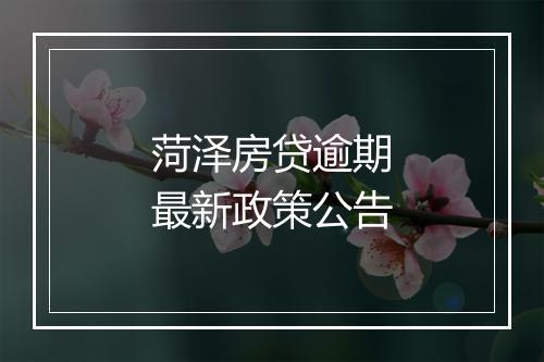 菏泽房贷逾期最新政策公告