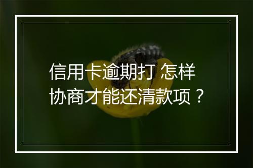 信用卡逾期打 怎样协商才能还清款项？