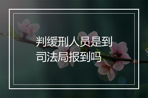 判缓刑人员是到司法局报到吗