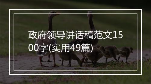 政府领导讲话稿范文1500字(实用49篇)