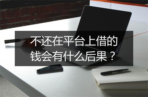 不还在平台上借的钱会有什么后果？