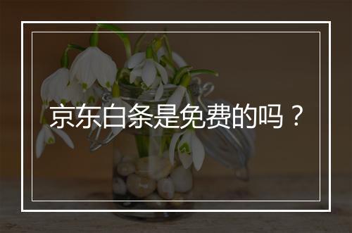 京东白条是免费的吗？