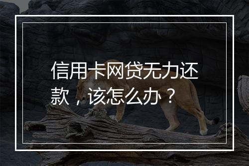 信用卡网贷无力还款，该怎么办？