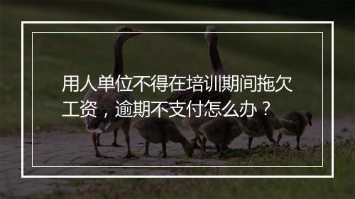 用人单位不得在培训期间拖欠工资，逾期不支付怎么办？