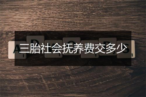 三胎社会抚养费交多少