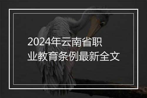 2024年云南省职业教育条例最新全文