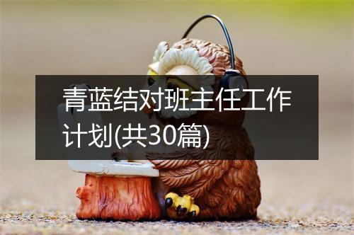 青蓝结对班主任工作计划(共30篇)