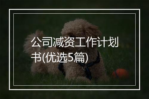 公司减资工作计划书(优选5篇)