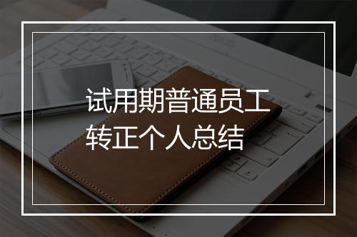 试用期普通员工转正个人总结
