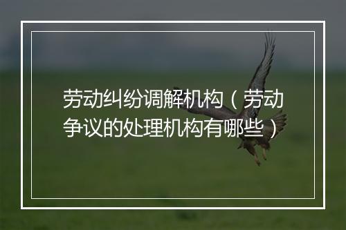 劳动纠纷调解机构（劳动争议的处理机构有哪些）