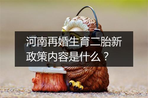 河南再婚生育二胎新政策内容是什么？