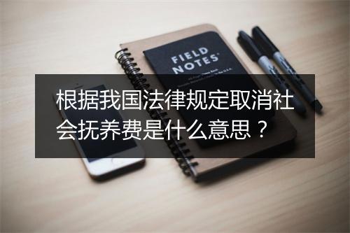根据我国法律规定取消社会抚养费是什么意思？