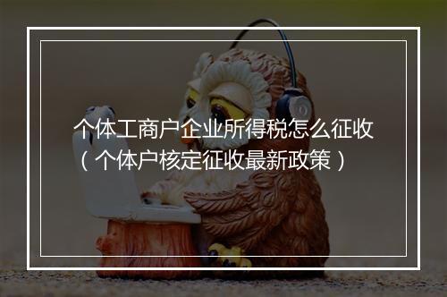 个体工商户企业所得税怎么征收（个体户核定征收最新政策）