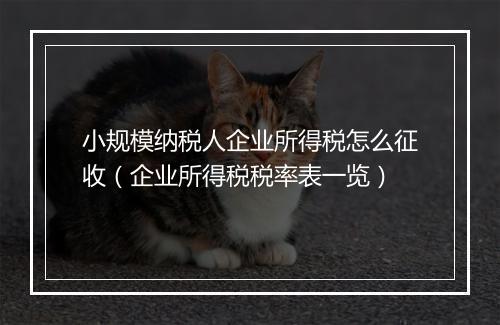 小规模纳税人企业所得税怎么征收（企业所得税税率表一览）