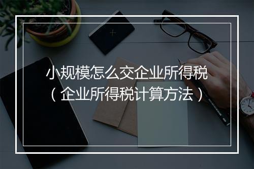 小规模怎么交企业所得税（企业所得税计算方法）