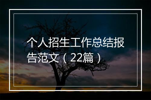 个人招生工作总结报告范文（22篇）