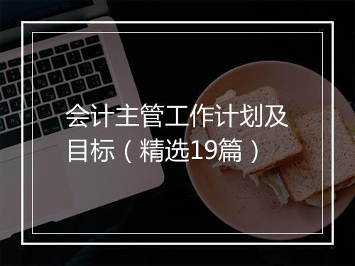 会计主管工作计划及目标（精选19篇）