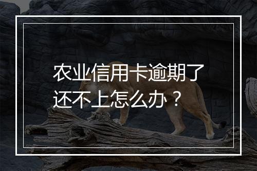 农业信用卡逾期了还不上怎么办？