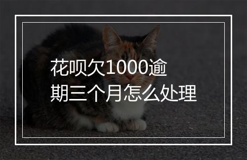 花呗欠1000逾期三个月怎么处理