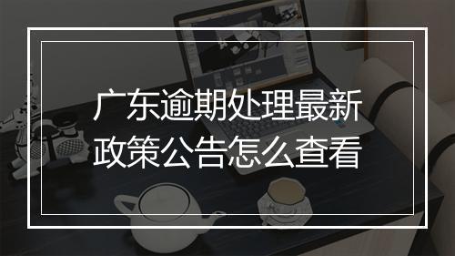 广东逾期处理最新政策公告怎么查看