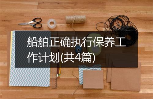 船舶正确执行保养工作计划(共4篇)