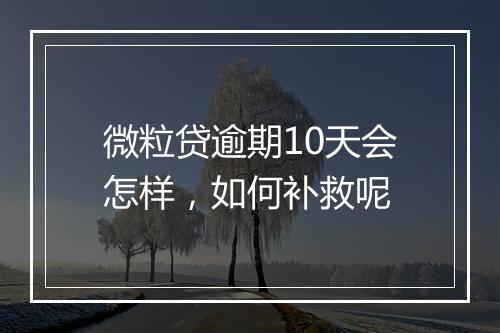 微粒贷逾期10天会怎样，如何补救呢