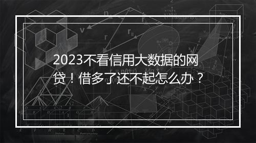 2023不看信用大数据的网贷！借多了还不起怎么办？