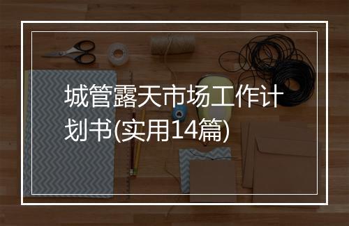城管露天市场工作计划书(实用14篇)