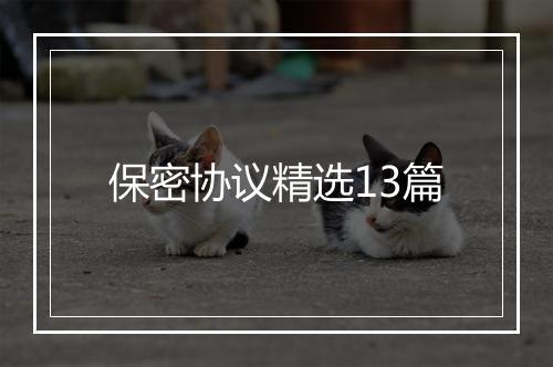保密协议精选13篇