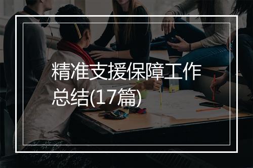 精准支援保障工作总结(17篇)