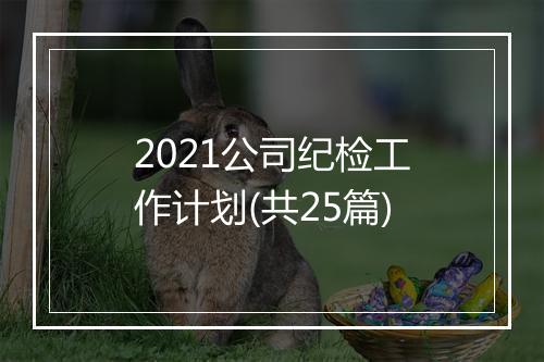 2021公司纪检工作计划(共25篇)