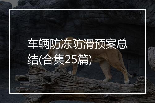 车辆防冻防滑预案总结(合集25篇)