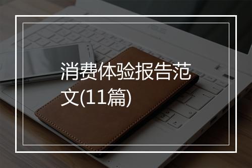 消费体验报告范文(11篇)