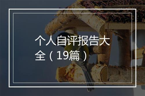 个人自评报告大全（19篇）