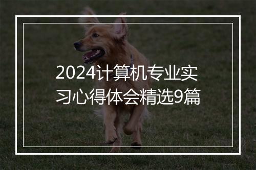 2024计算机专业实习心得体会精选9篇