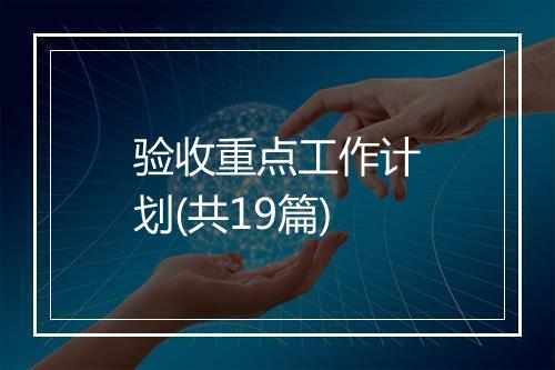 验收重点工作计划(共19篇)