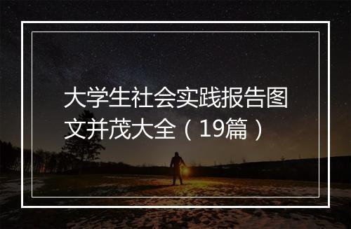 大学生社会实践报告图文并茂大全（19篇）