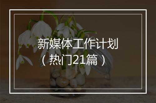 新媒体工作计划（热门21篇）