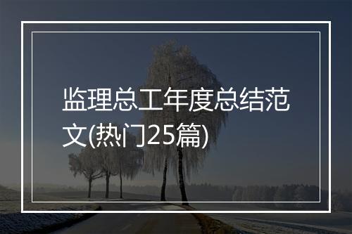 监理总工年度总结范文(热门25篇)