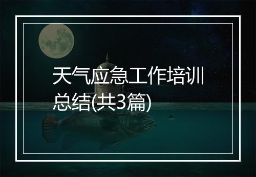 天气应急工作培训总结(共3篇)