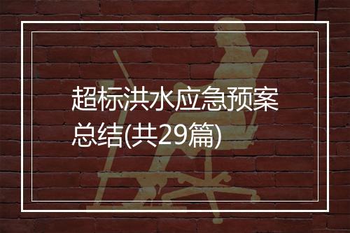 超标洪水应急预案总结(共29篇)