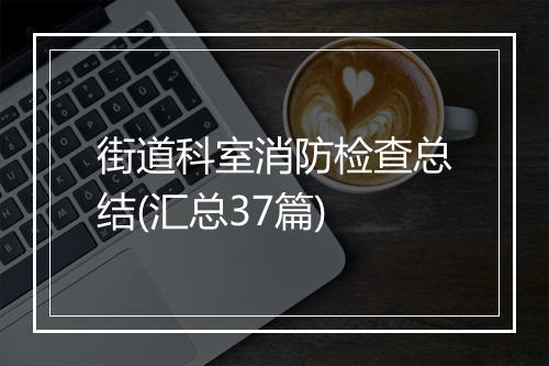 街道科室消防检查总结(汇总37篇)