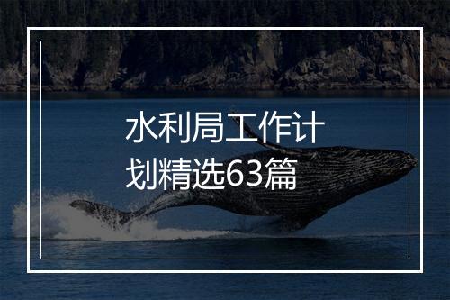 水利局工作计划精选63篇