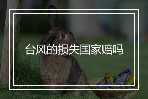 台风的损失国家赔吗