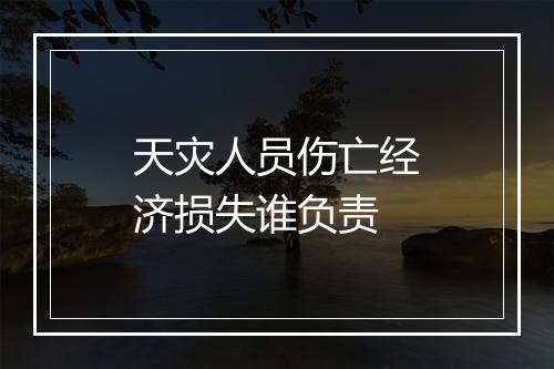 天灾人员伤亡经济损失谁负责