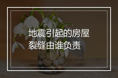 地震引起的房屋裂缝由谁负责