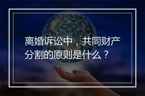离婚诉讼中，共同财产分割的原则是什么？