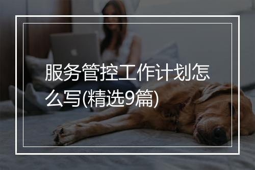 服务管控工作计划怎么写(精选9篇)
