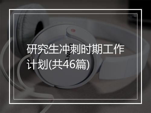 研究生冲刺时期工作计划(共46篇)